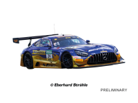 Carrera Digital 132 Mercedes-AMG GT3 Evo "Team Winward No.24"